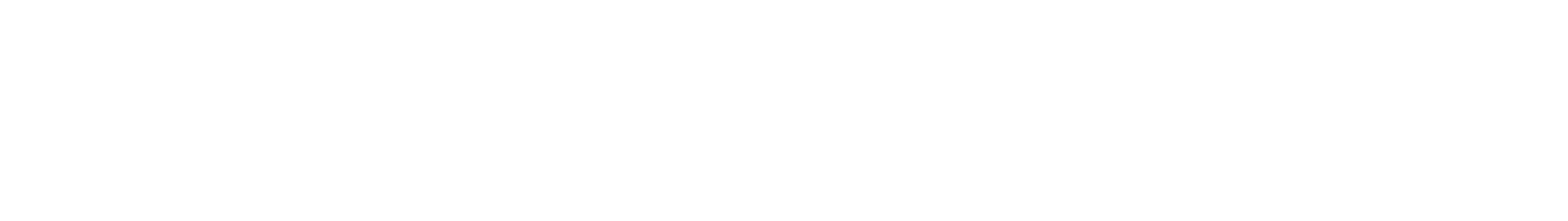 The Aesthetics Society