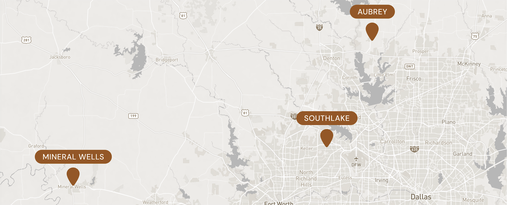 The Aesthetics Society